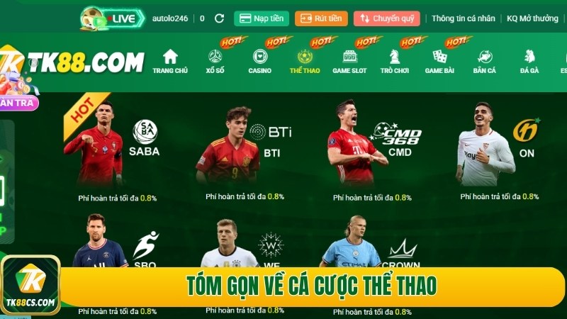 Tóm gọn về cá cược thể thao Tóm gọn về cá cược thể thao