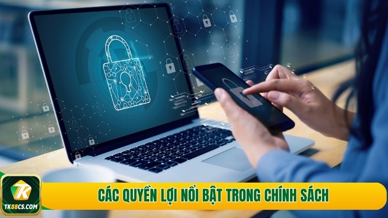 Các quyền lợi nổi bật trong chính sách Các quyền lợi nổi bật trong chính sách
