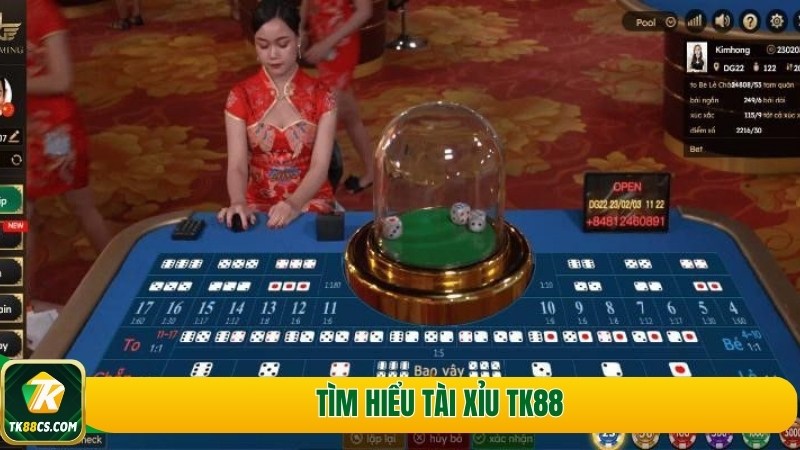 Tìm hiểu tài xỉu TK88 Tìm hiểu tài xỉu TK88